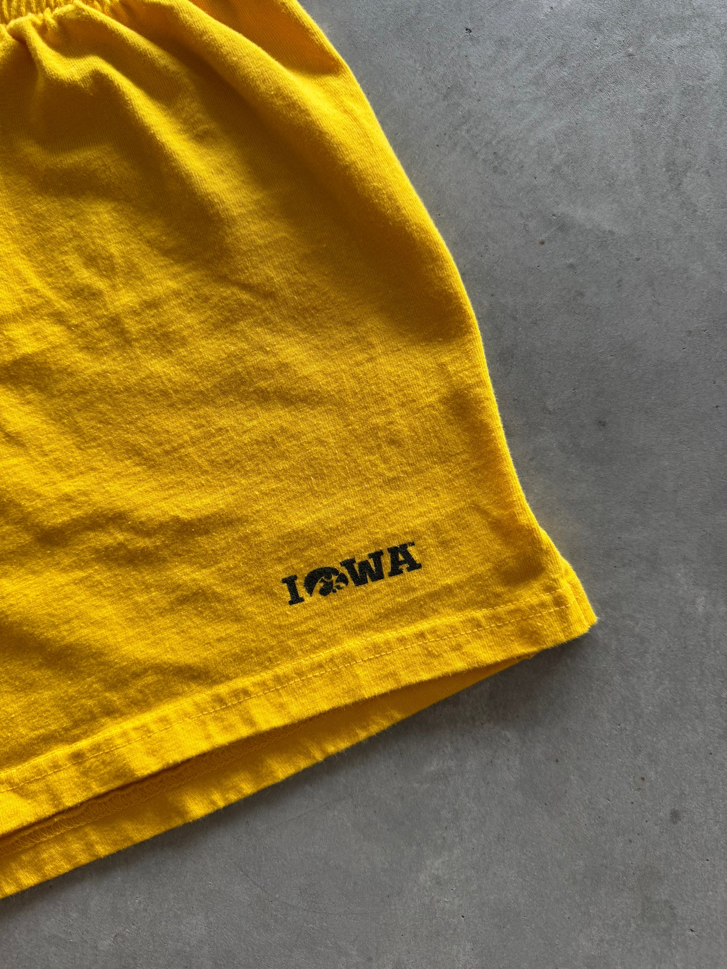 Vintage Iowa Hawkeyes Shorts - L