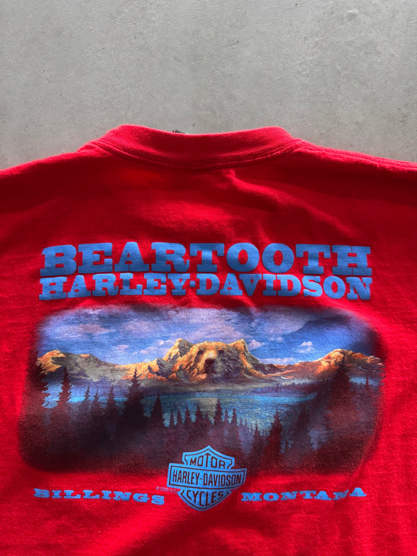 Vintage 00s Harley Davidson Tee - XL