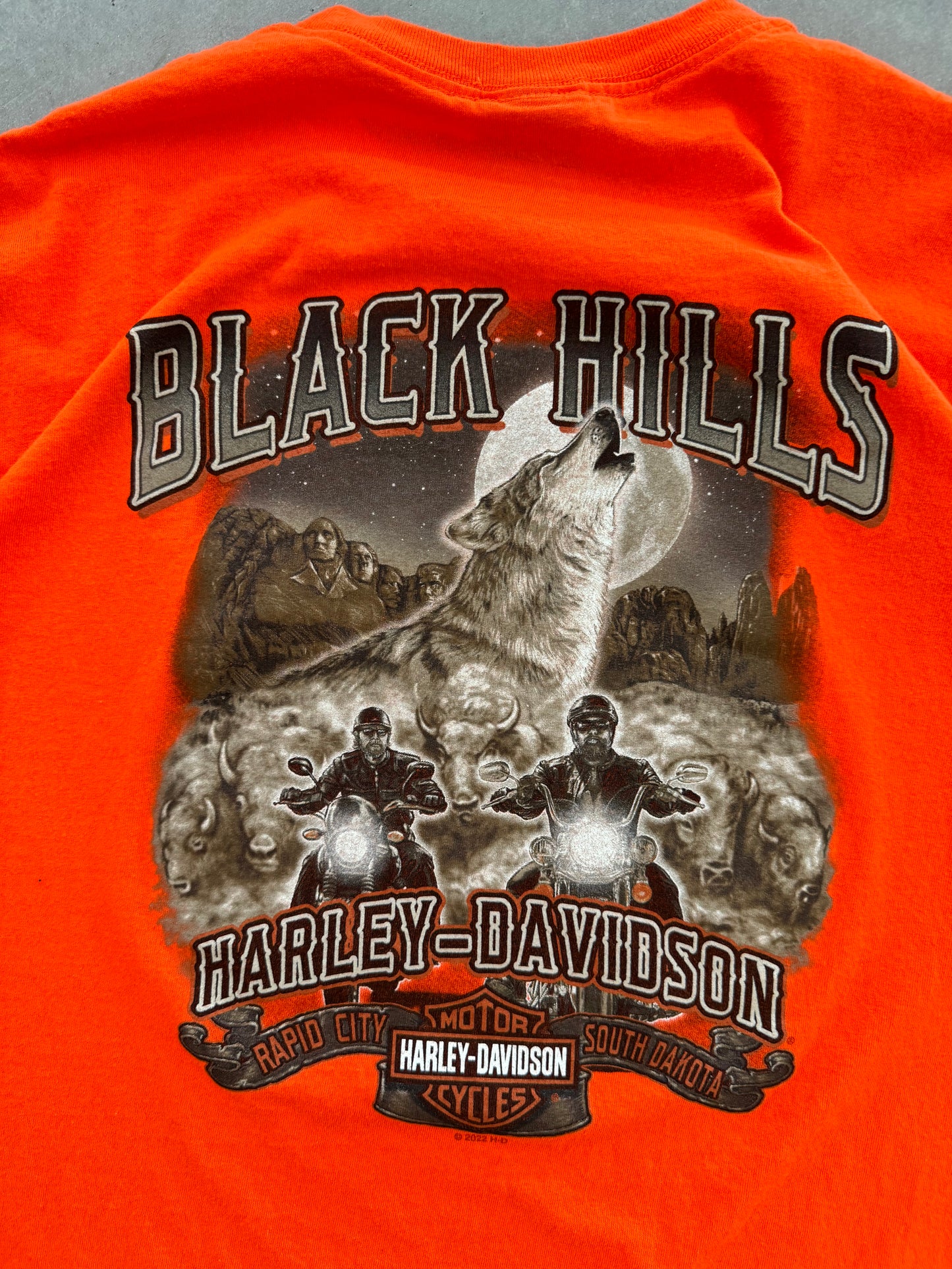 Harley Davidson Black Hills Tee - L