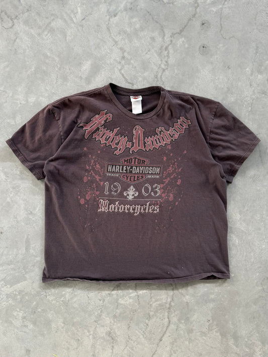 Vintage 00s Harley Davidson Tee - 3XL