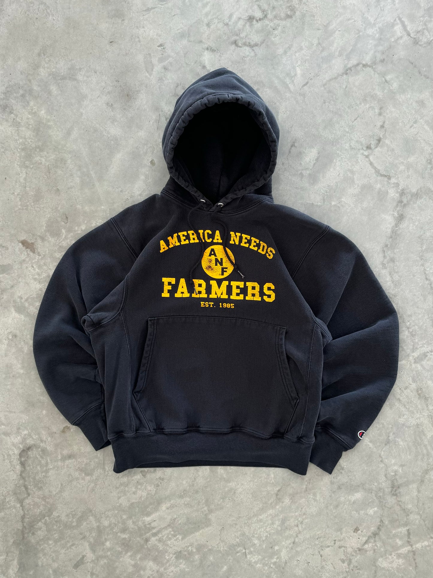 Vintage 90s ANF Iowa Hoodie - S