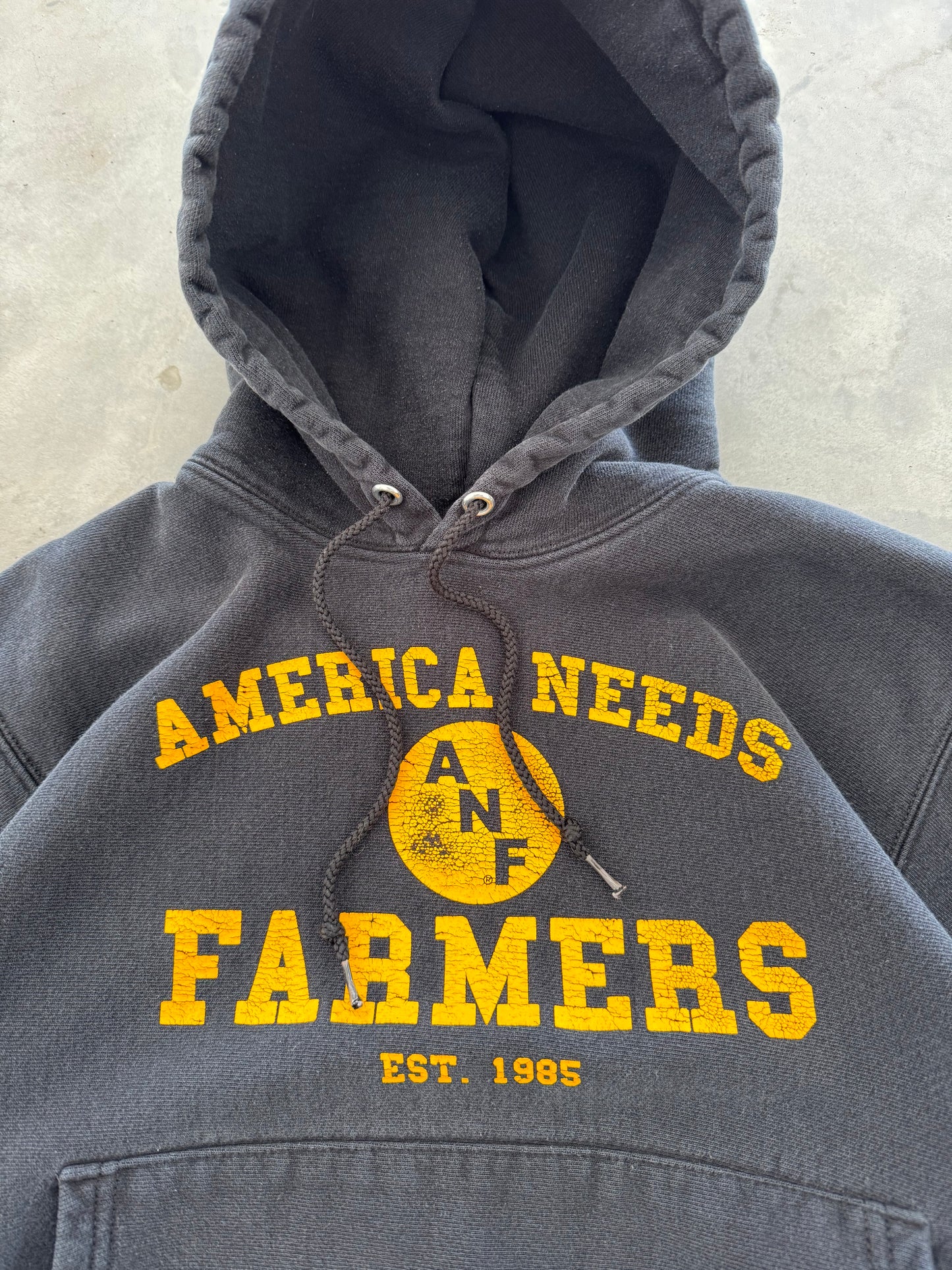 Vintage 90s ANF Iowa Hoodie - S