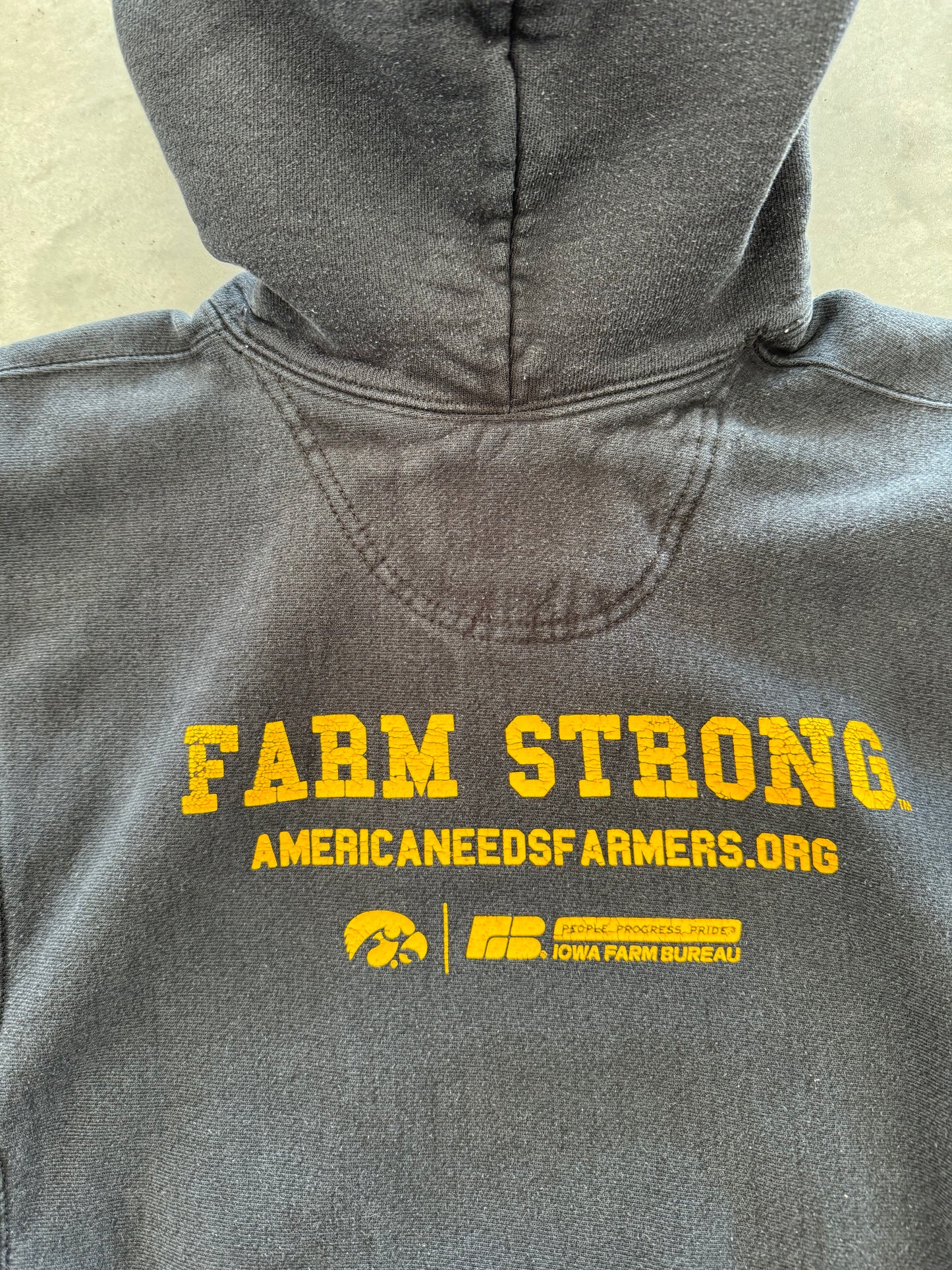 Vintage 90s ANF Iowa Hoodie - S