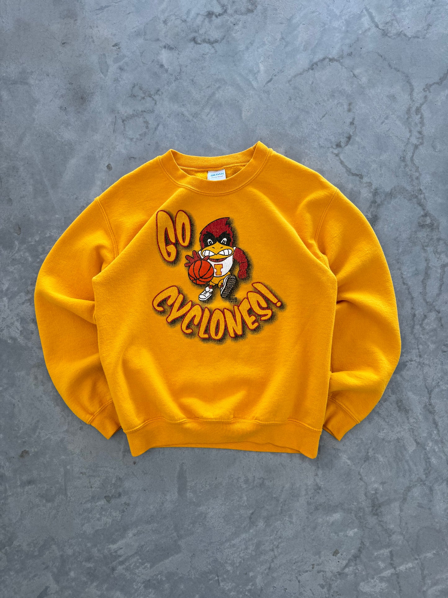 Vintage Iowa State Basketball Sweatshirt - S