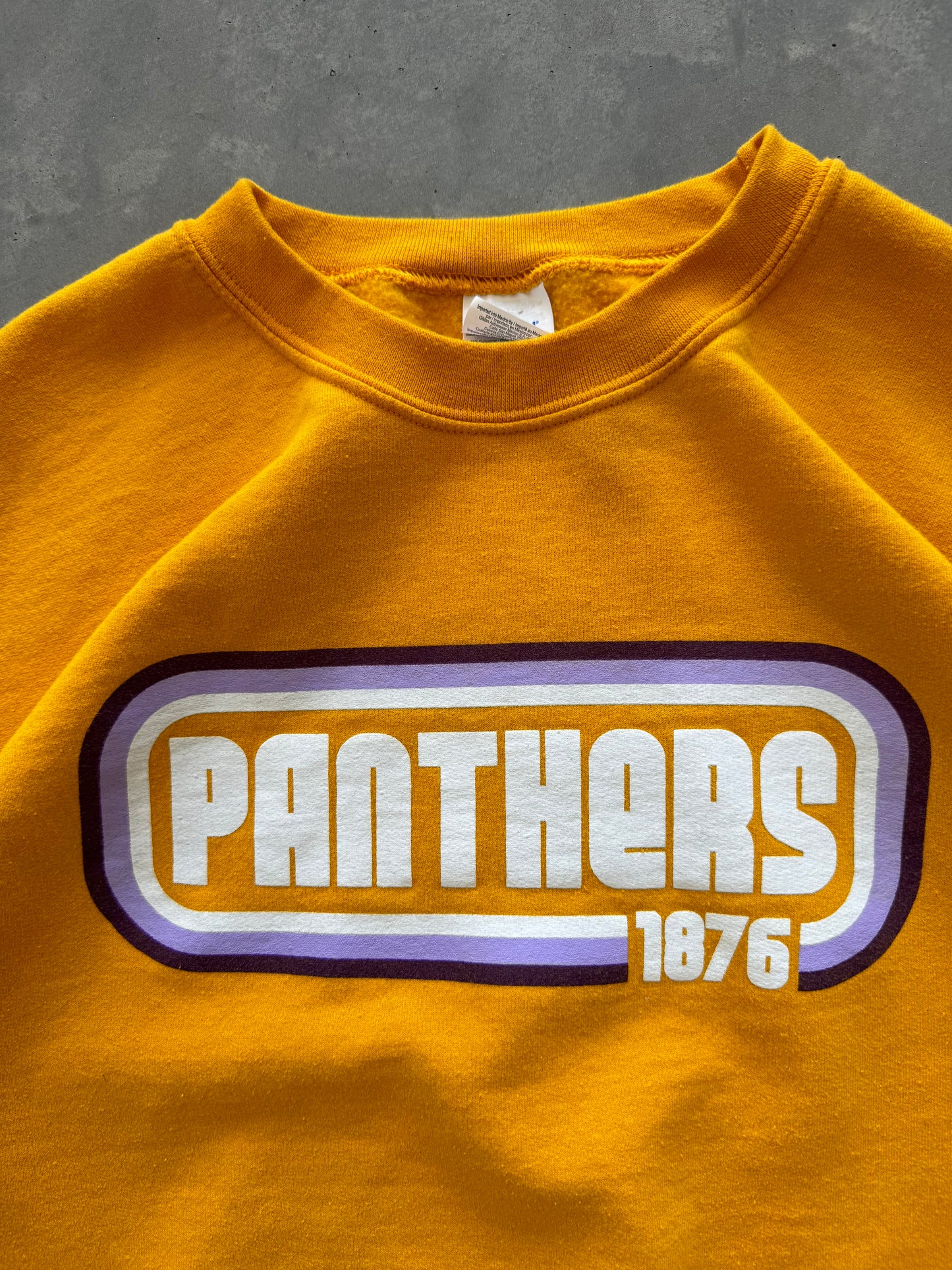 UNI Panthers Sweatshirt - L